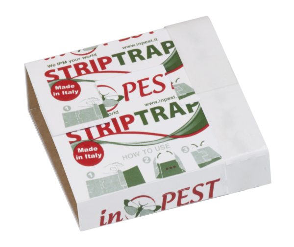 Strip Trap Gel Blatte Ipm - Manage Pest Pest Kompany