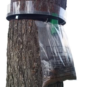 Colly Ipm - Fight Pest Pest Kompany Colly Ipm - Fight Pest Pest Kompany