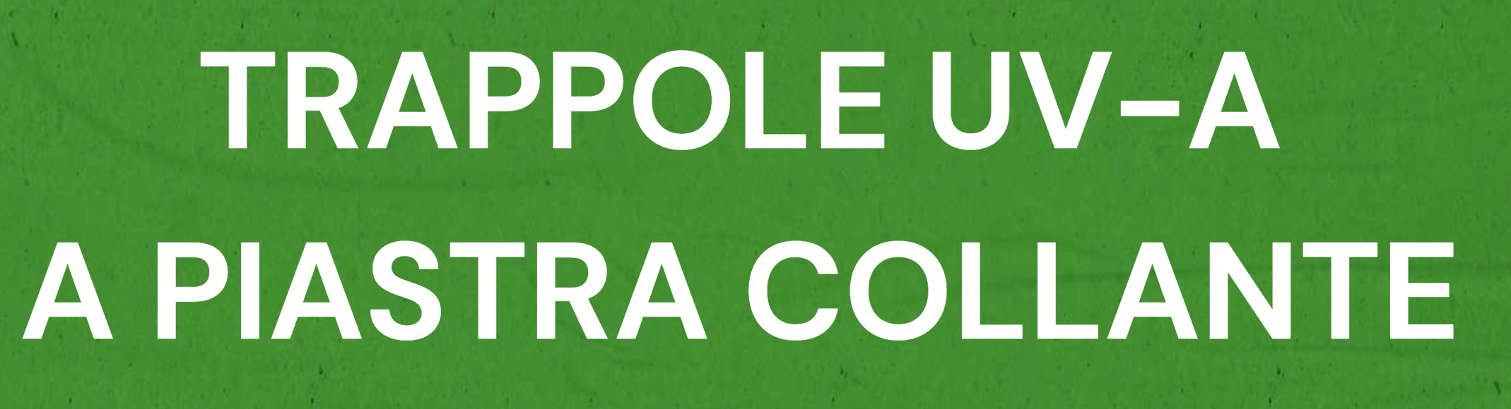 Screenshot-2024-07-08-alle-13.17.46