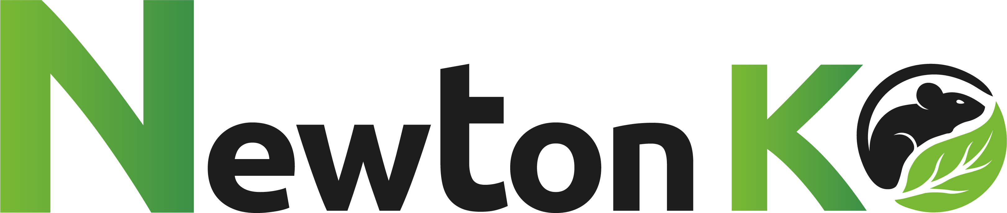 NewtonKO Restyling 26